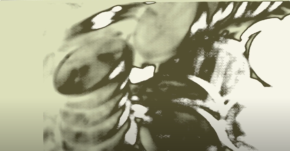 Materialism (short experimental film)