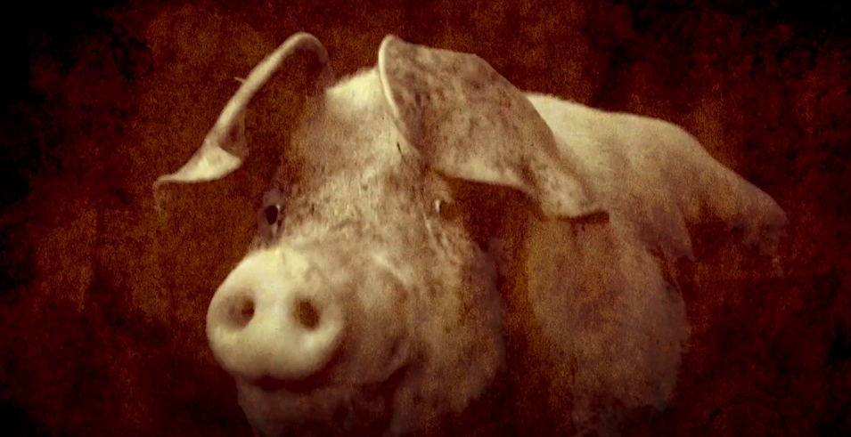Loosveld butcher, cheese shop (commercial, promotional video)